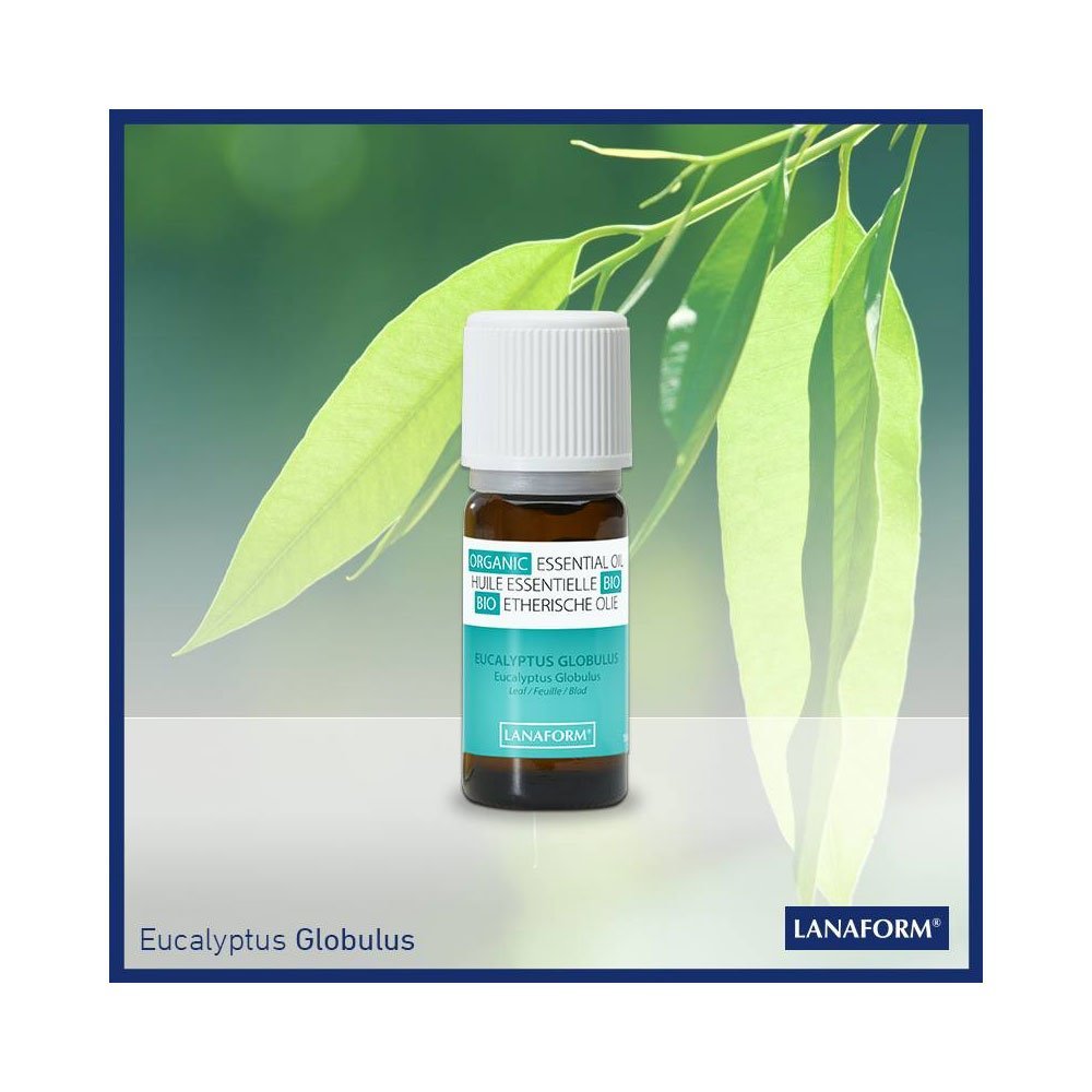 Ulei organic cu aroma de eucalipt pentru camera Lanaform – imaginea 2